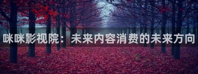 老湿网：咪咪影视院：未来内容消费的未来方向