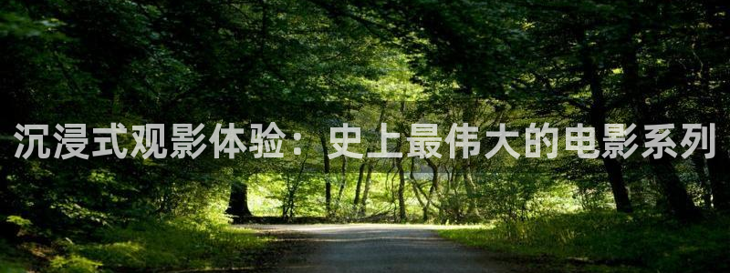 老湿影院无遮挡：沉浸式观影体验：史上最伟大的电影系列