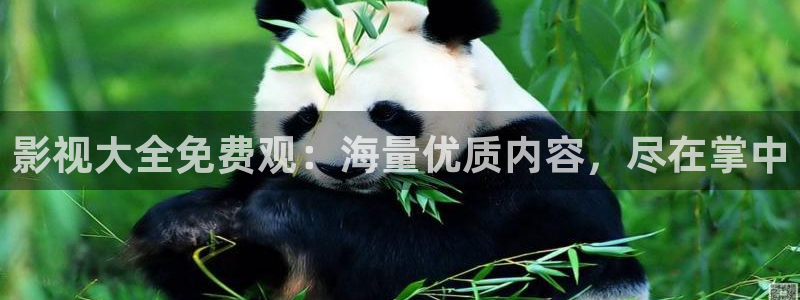 老湿剧院：影视大全免费观：海量优质内容，尽在掌中