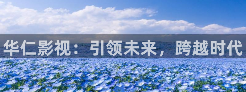 老湿机私人影院：华仁影视：引领未来，跨越时代