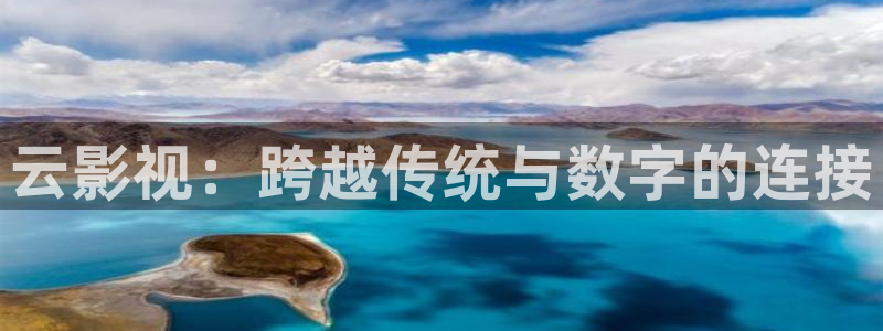 老湿电影