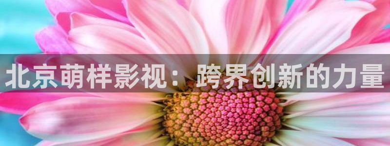 老湿影院10分钟