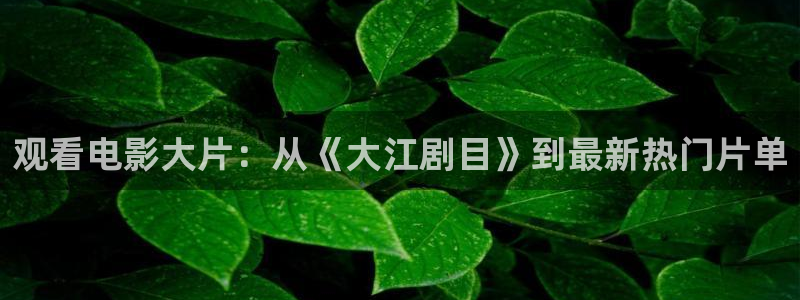 老湿免费福利影院