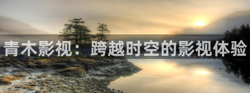 老湿机影院免费看