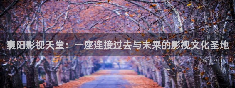 老湿影院在线观看免费